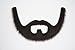 Mustaches Self Adhesive Fake Beard, Novelty, On Bail False Facial, Costume Accessory for Adults, Brown Color