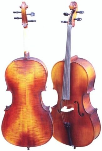 VIOLONCELLO - Gaudieri (HD/C11) Estudio (Tapa Pino Abeto) Violoncello 1/2