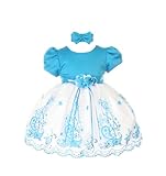 StylesILove Turquoise Embroidered Flower Girl Dress (3 Months)