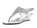 DREAM PAIRS Women's Aditi Low Wedge Dress Sandals