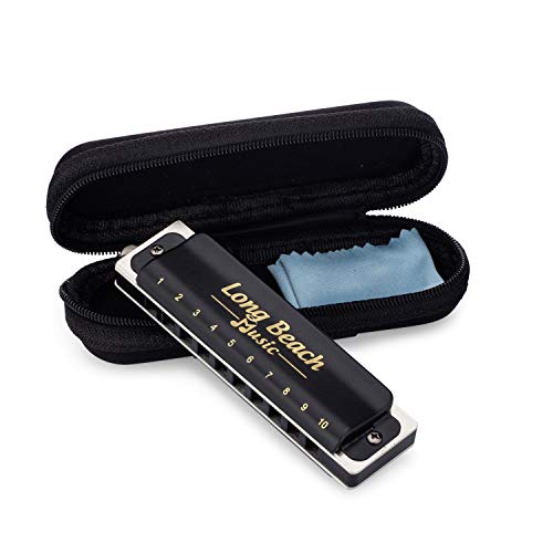 10 Best Harmonicas for Blues, Folk & More 2020 Windysounds