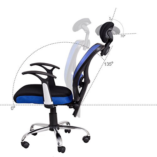 Giantex Executive Office Chair Mesh High Back Home Adjustable Swivel Ergonomic Computer Desk Chair with Headrest (Blue)