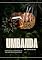 Livro Umbanda no século XXI: Adaptação e desafios de uma religião ancestral: Adaptação e desafios de uma religião ancestral
