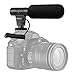 Camera video microphone