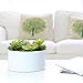 MyGift® 6 inch Realistic Artificial Faux Mixed Succulent Plants Arrangement w/White Round Ceramic Vase