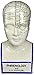 Design Toscano SP020 Full Size Phrenology Head Bust Fortune Telling Statue, 12 Inch, Porcelain, White
