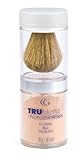 CoverGirl TruBlend Micro Minerals Foundation, Buff Beige 425, 0.35-Ounce Package