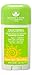 Nature's Gate Deodorant Stick Summer Spice Scent 2.5 oz (70g)