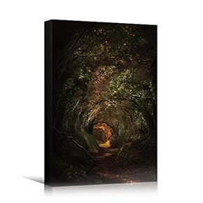 signwin Canvas Wall Art Green Forest Dramatic Forest...