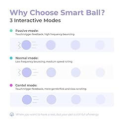 [3 Interactive Modes] Cheerble Intelligent