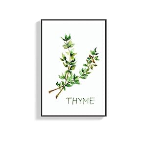 Framed Canvas Wall Art for Living Room, Bedroom Thyme Canvas Prints for Home Decoration Ready to Hang - 16x24 inches