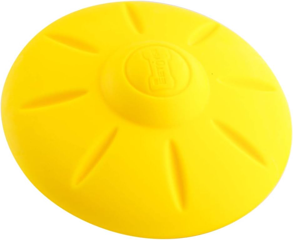 EEToys Squeaky Dog Toy, Water Fetch Toy, Floating Swimming Dog Toy for Interactive Fetch & Play Small Discs