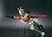 TAMASHII NATIONS Bandai Sky Rider S.H.Figuarts Kamen Action Figure