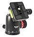 Desmond DB-40 40mm Ball Head Arca / RRS Compatible w Pan Lock Tripod & QR Plate