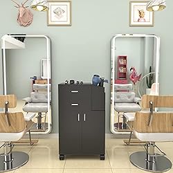 Paddie Salon Trolley Cart with Wheels, 2 Drawer
