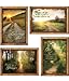 Peaceful Pathways - KJV Scripture Greeting Cards - Boxed - Encouragement 4 designs, 12 cards