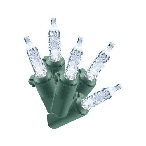 Indoor Outdoor Mini Lights Holiday Time Indoor & Outdoor Led Multicolor