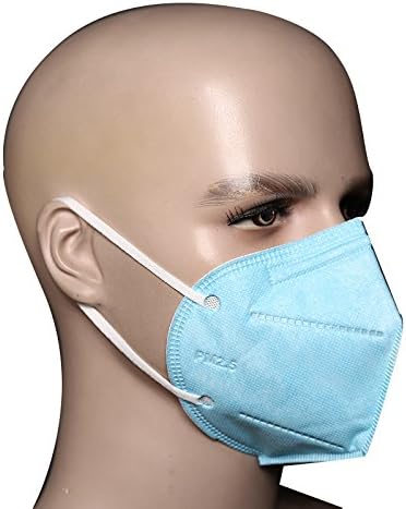 Bllomsem 10pcs Flu Face Masks with earloops Anti Virus and PM2.5 Protection with Thick Medical Grade 100% Cotton Non-woven Fabrics Design Blue