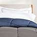LINENSPA Reversible Down Alternative Comforter and Duvet Insert - All-Season Comforter with Box Stitch and 8 Duvet Loops - Bedding for Kids, Teens, and Adults – Navy/Graphite - Twin XL