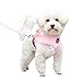Soft Mesh Polka Dots Dog Harness with Matching Leash