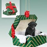 Conversation Concepts Portuguese Water Dog Gift Box Green Ornament