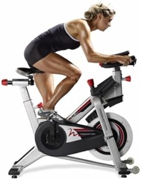 freemotion 11.9 spin bike