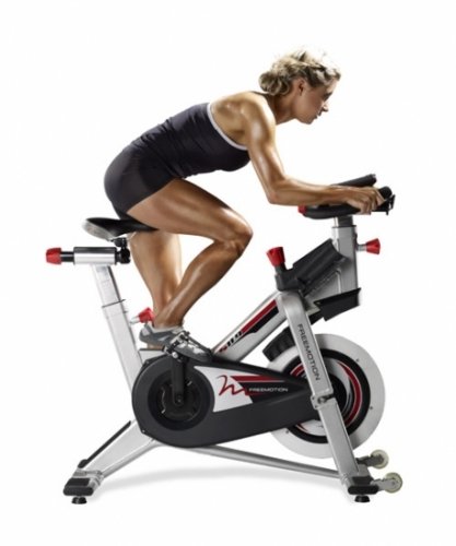 FreeMotion S11.9 Indoor Exercise Cycle Bike