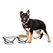 Set of 2 Stainless Steel Dog Bowls - 40oz Pet Bowls with Decorative Dog Food Stand - Metal Food and Water Dishes for Large Pets - Puppy Essentials by PETMAKER (Silver/Black)