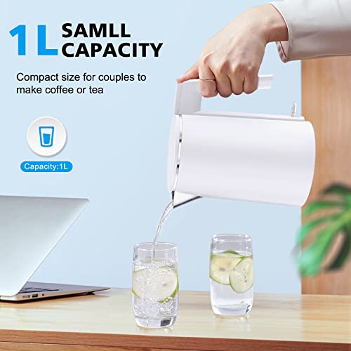 Vecuni Electric Kettle 1L, 1500W Fast Heating Double Wall Stainless Steel Interior Electric Tea Kettle with Filter, Auto Shut-Off & Boil-Dry Protection, BPA-Free, Countertop Tea Maker Coffee Pot
