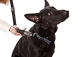 PatentoPet DOG-e-Walk Premium Dog Trainer Black