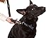 PatentoPet DOG-e-Walk Premium Dog Trainer Black