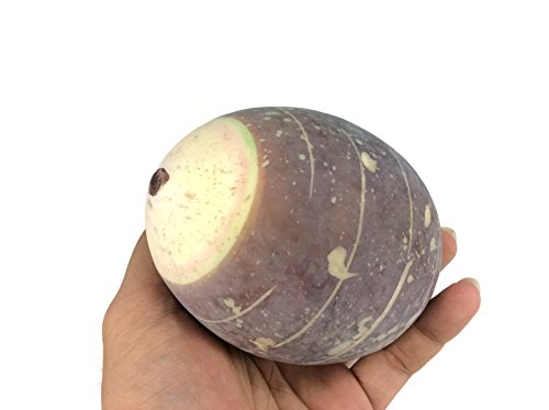 perfect2desire Taro Root Fake Food Fruit Artificial Lifelike Simulation Faux Fake Fruit Potatoes Fake Vegetable - Thumbnail 3