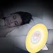 SOLLED Wake Up Light, Sunrise Alarm Clock with Nature Sounds, FM Radio, Touch Control and USB Charger, Sunrise Simulator Alarm Clock
