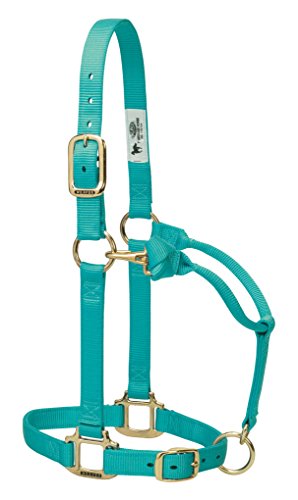 Cabresto de Nylon para Cavalo Weaver Leather, Tamanho Grande, Menta