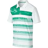 Oakley Mens Lowers Polo Shirt