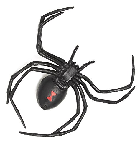 6" Big Black Widow Spider