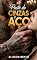 Livro Pacto de Cinzas e Aço: Ele a encontrou nas ruínas. E a tornou sua rainha. (Obsessões Perigosas)