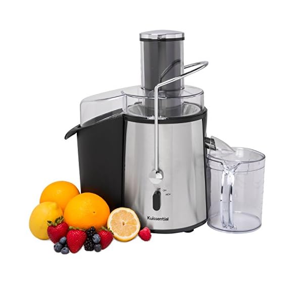 Professional Juicer Machine 2Speed 700 Watt Easy Clean, Fruit & Vegetable Extractor, ETL