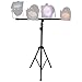 Light Stand, Portable, 50 lb Capacity, Adjustable, Up to Four Lamps