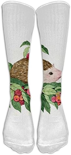 YOIGNG Socks Apple Hegehog Mens Womens Knee High Tube Dresses Liner Cosplay Stockings