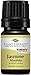 Plant Therapy Jasmine Absolute Essential Oil 100% Pure, Undiluted, Natural Aromatherapy, Therapeutic Grade 5 mL (1/6 oz)