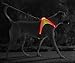 ZNFSZ - Multicolor LED Illuminated, Reflective Dog Harness (X-Large)