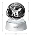 AXAYINC 3D Crystal Ball LED Night Lights Advance Laser Engraving Children's Gift (Umbreon)