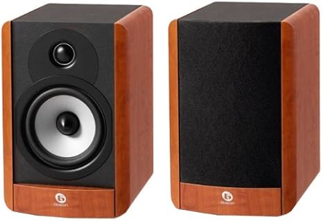 boston acoustics a25