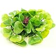 Artificial Floating Water Lettuce Hyacinth (Hydrophyte), 9 Inch Diameter | Water Garden Koi Fish Pond, Aquarium or Pool Decoration