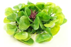 POND H2O Artificial Floating Water Lettuce Hyacinth (Hydrophyte), 9 Inch Diameter | Water Garden Koi Fish Pond, Aquarium or Pool Decoration
