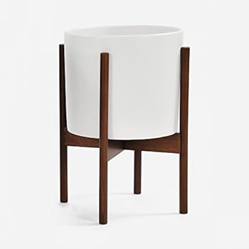 Case Study Ceramic Planter with Wood Stand - Small - White