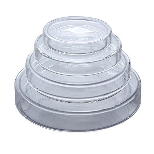 Time Concept Decorative Laboratory Glass Petri Dish - Size 3 - Accesory Storage, Home Decoration