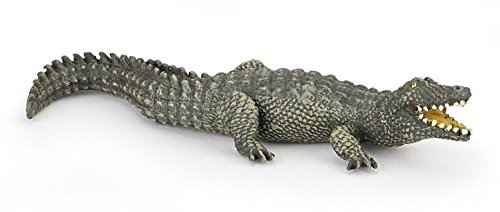 Papo Mini Tub's Wild Animals (Lot 1)