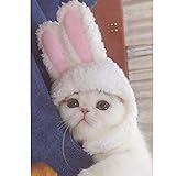 Cuteboom Cat Rabbit Hat Kitty Bunny Costume Small Cat Easter Costume Small Pet Halloween Birthday Cap (One Size)